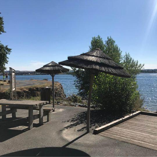 Maison Bord De Lac De Pareloup Salles-Curan エクステリア 写真
